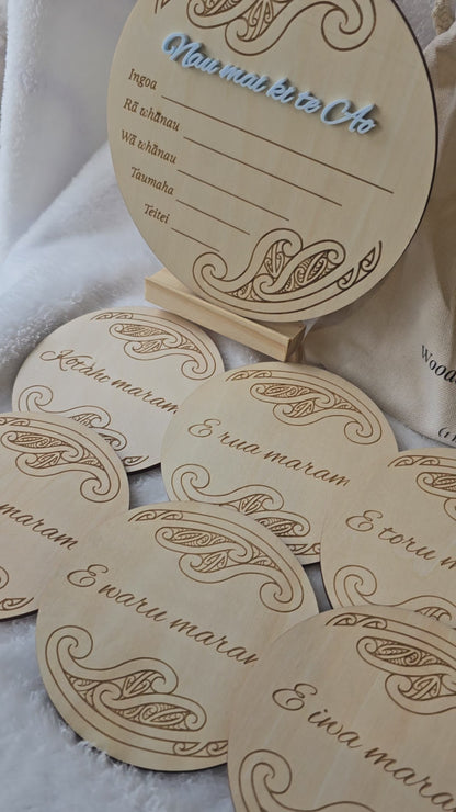 Milestone Memories Bundle (boy)