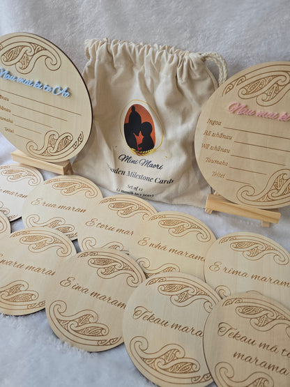 Milestone Memories Bundle (boy)