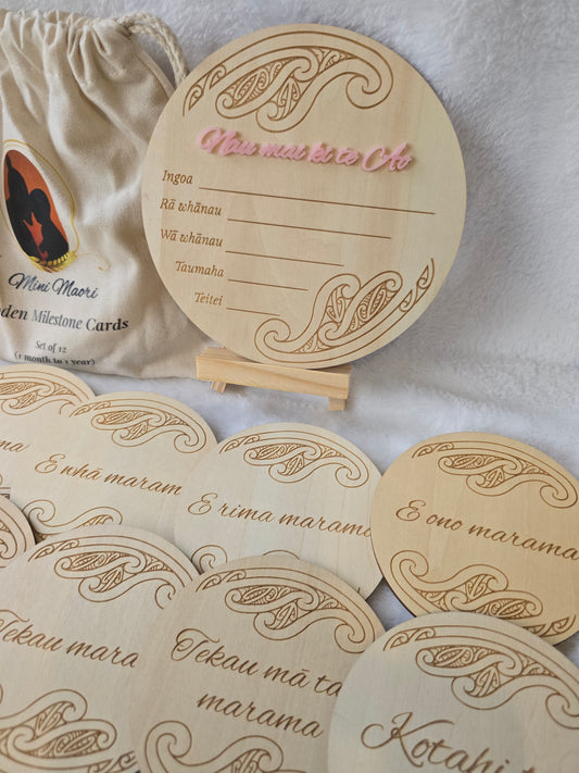 Milestone Memories Bundle (girl)